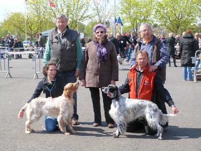 des Pins de Stella - AZUR CACIB à AMIENS