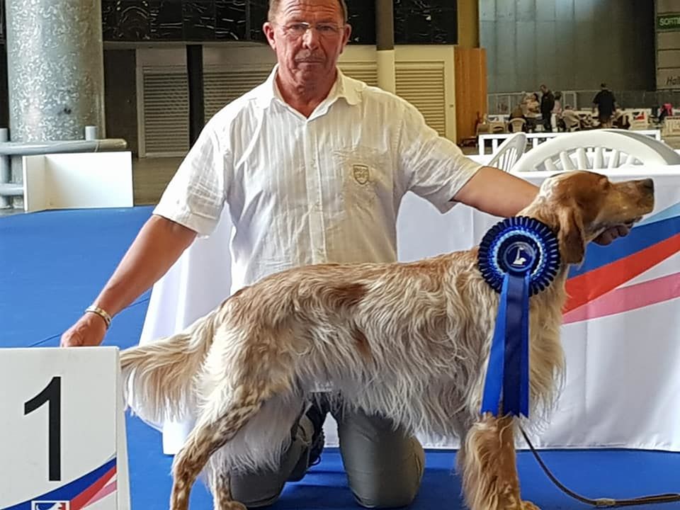 des Pins de Stella - FALCONE GRAND PRIX DE FRANCE