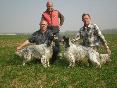 des Pins de Stella - FIELD TRIAL FIENVILLERS/ MESNIL