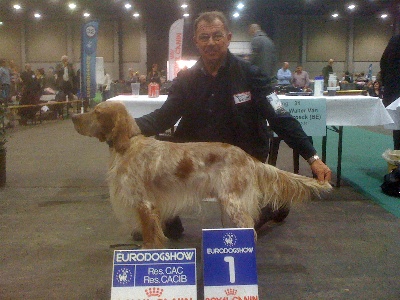 des Pins de Stella - EURODOG SHOW 2013 COURTRAI BELGIQUE