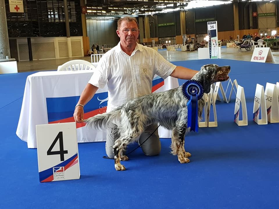 des Pins de Stella - NASH GRAND PRIX DE FRANCE