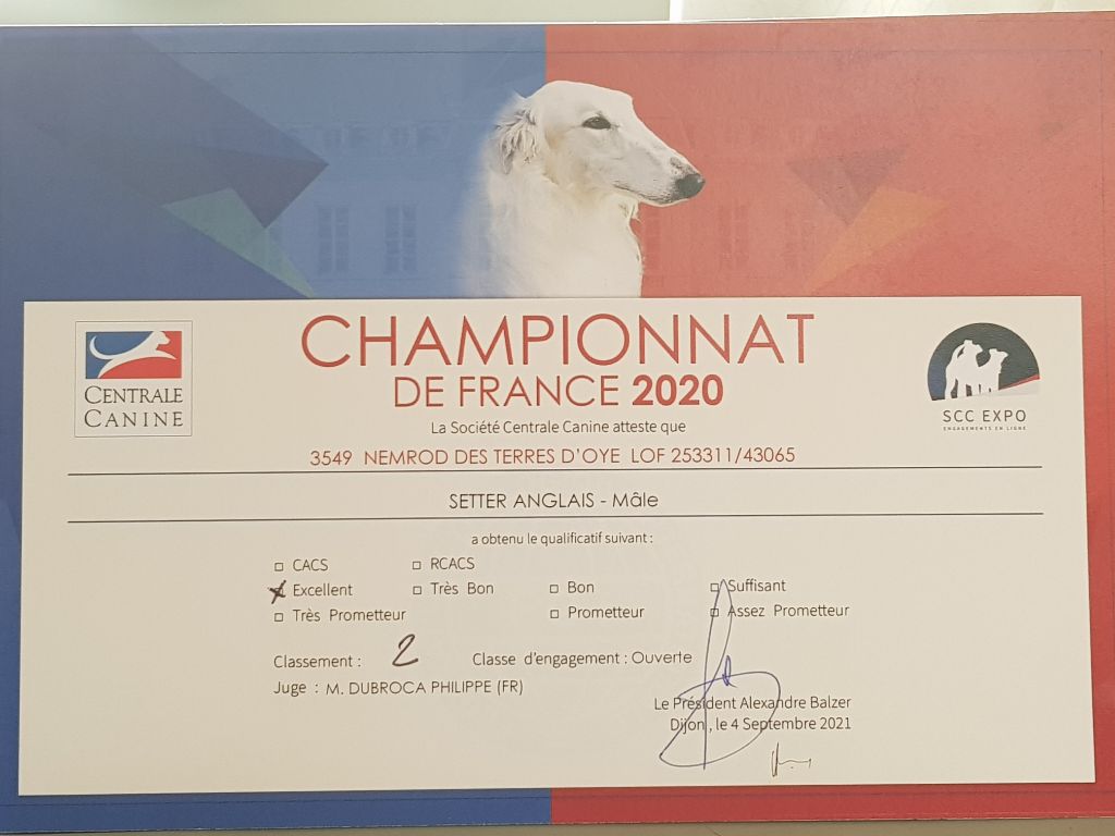 des Pins de Stella - CHAMPIONNAT DE FRANCE 2020