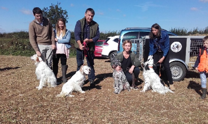 des Pins de Stella - TEAM DU CHATEAU DE LA MANDOLE