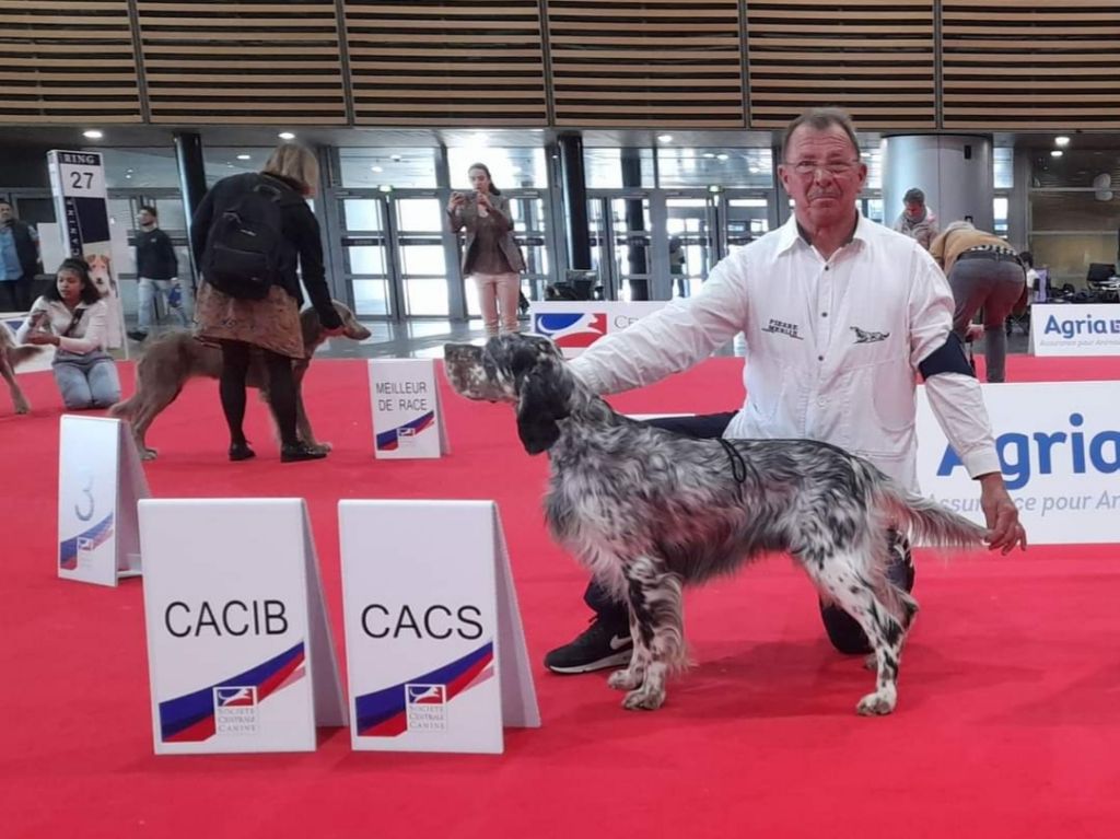 des Pins de Stella - CHAMPIONNAT DE FRANCE DE CONFORMITE