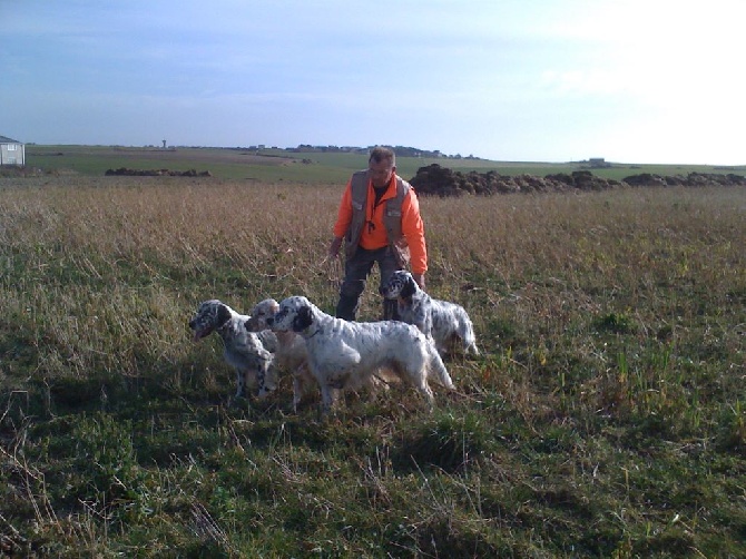 des Pins de Stella - PREPARATION FIELD TRIAL