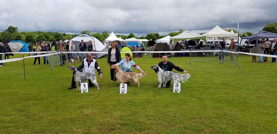 des Pins de Stella - NASH SPECIALE DE RACE EVREUX