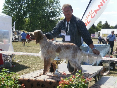 des Pins de Stella - AMIENS SPECIALE DE RACE