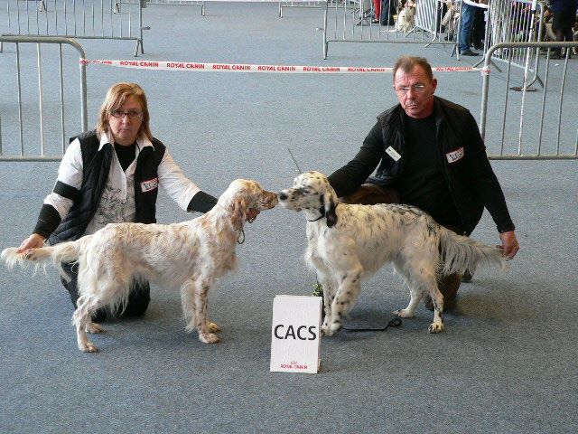 des Pins de Stella - CALAIS EXPOSITION  CACS 