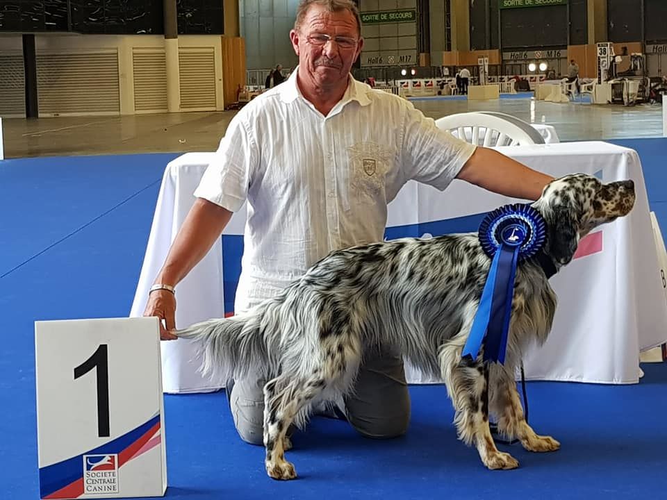 des Pins de Stella - NEMROD GRAND PRIX DE FRANCE