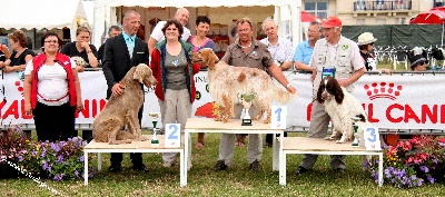 des Pins de Stella - FALCONE DIEPPE LE PODIUM