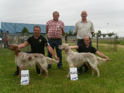 des Pins de Stella - SPECIALE CHARTRES 2012