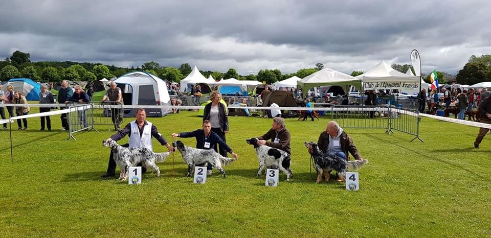 des Pins de Stella - NEMROD SPECIALE DE RACE EVREUX