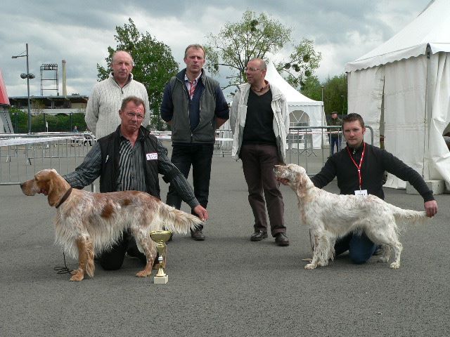 des Pins de Stella - CACIB AMIENS 2014