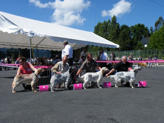 des Pins de Stella - CHAMPIONNAT DE FRANCE ANGERS