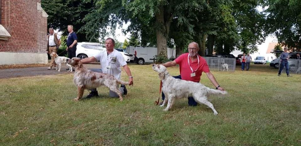 des Pins de Stella - REGIONALE A PARVILLIERS