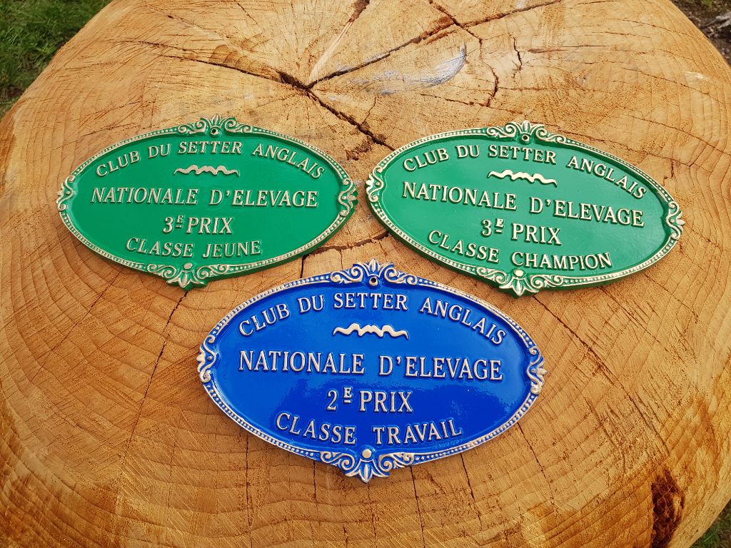 des Pins de Stella - NATIONALE D ELEVAGE CLERGOUX