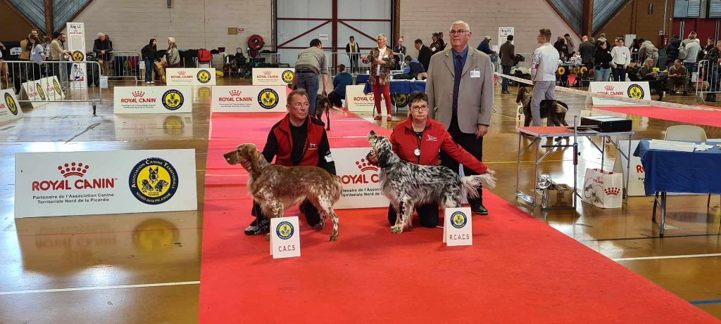 des Pins de Stella - AMIENS SPECIALE DE RACE