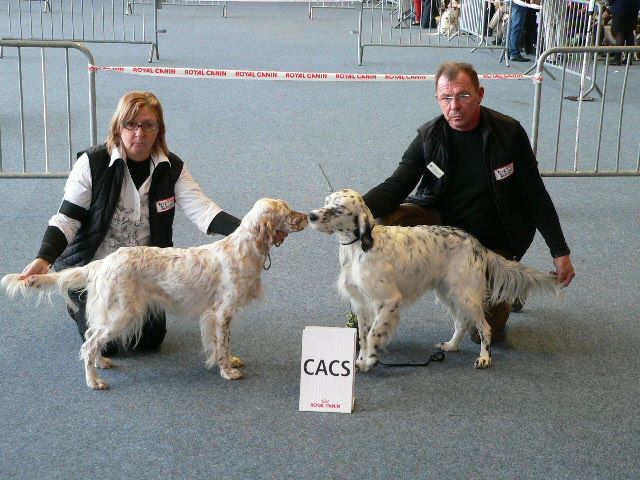 des Pins de Stella - CALAIS EXPOSITION CACS