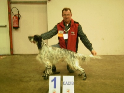 des Pins de Stella - CACIB DOUAI