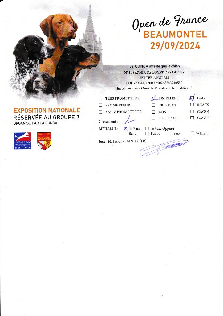 des Pins de Stella - OPEN DE FRANCE BEAUMONTEL SAPHIR