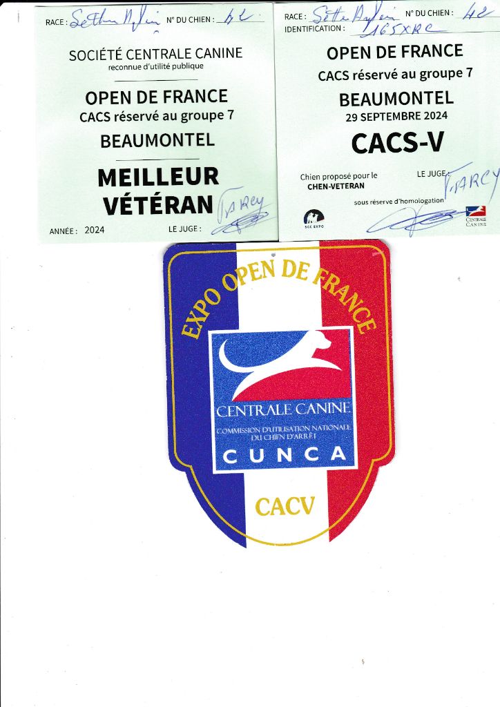 des Pins de Stella - LAZIO CACSV A BEAUMONTEL