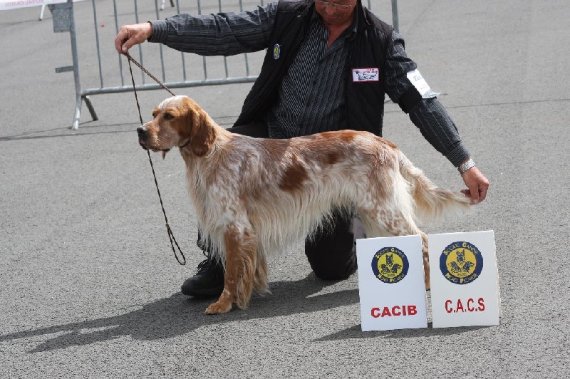 AMIENS 2014