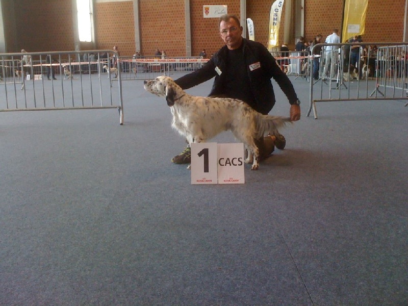 CALAIS 2014