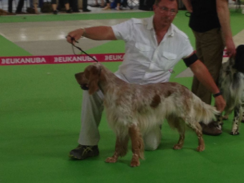 CHAMPIONNAT DE FRANCE 2015 DIJON